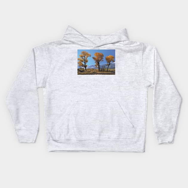 Cottonwood Trees Fall Foliage Carson Valley Kids Hoodie by RhysDawson